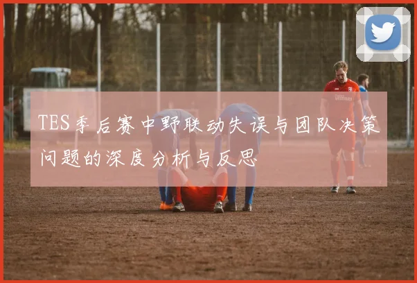 TES季后赛中野联动失误与团队决策问题的深度分析与反思