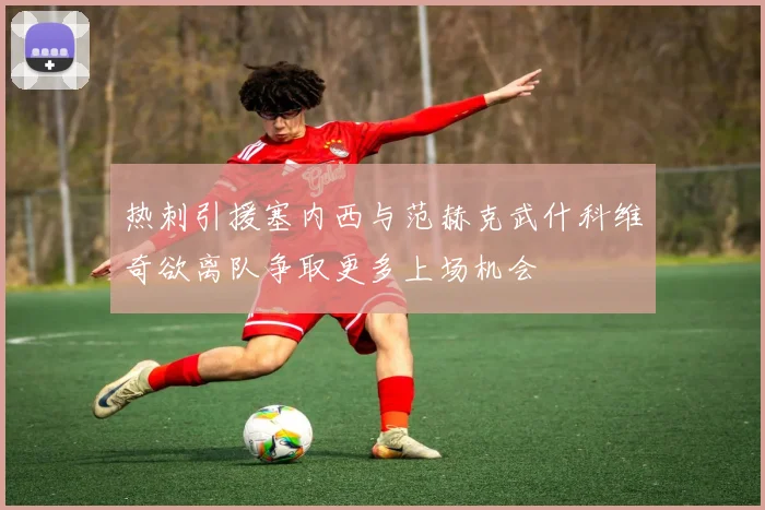 热刺引援塞内西与范赫克武什科维奇欲离队争取更多上场机会