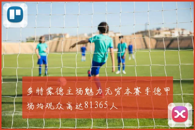 多特蒙德主场魅力无穷本赛季德甲场均观众高达81365人